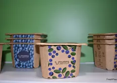 Packaging options from Omnia Packaging that are all recyclable, compostable, and glue-free.